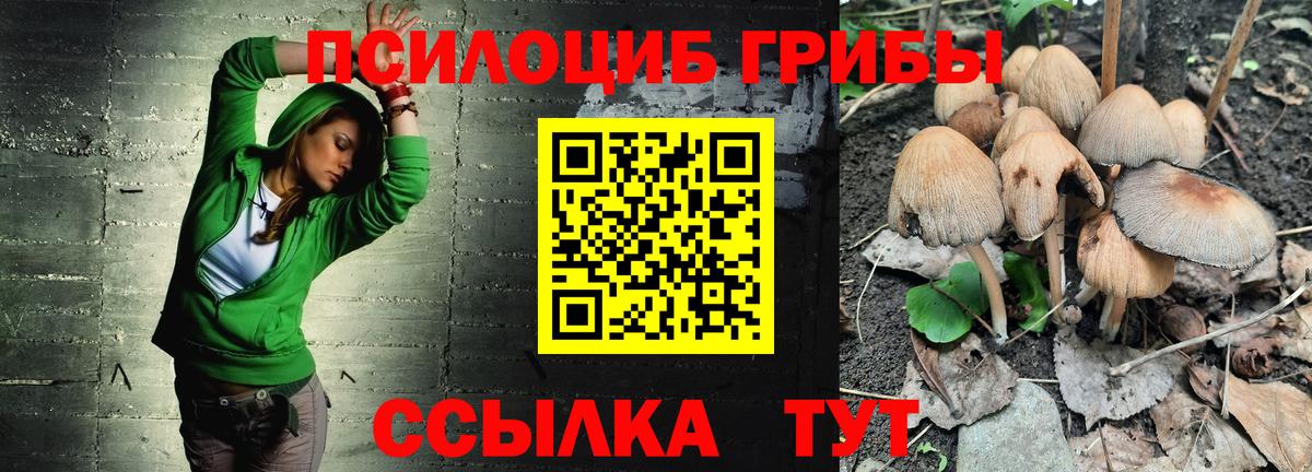 Галлюциногенные грибы Psilocybe Конаково