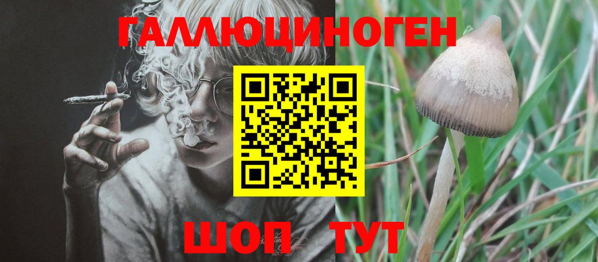 Конаково  Псилоцибиновые грибы Psilocybine cubensis  Вход с VPN 
