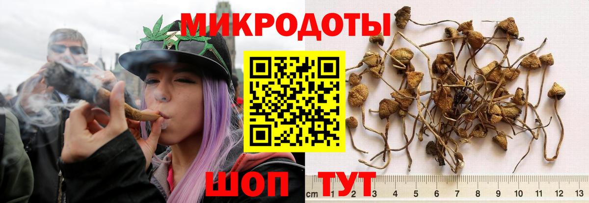 Канабис  Вход с VPN  МДМА  Конаково  Меф МЯУ МЯУ   ГАШИШ  Каннабис  ЭКСТАЗИ  A PVP СК   Мефедрон 